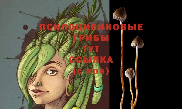 jwh Коряжма