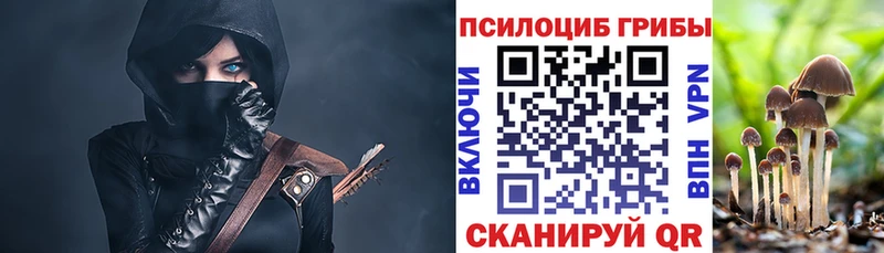 Купить  Дубна  Галлюциногенные грибы мухоморы 