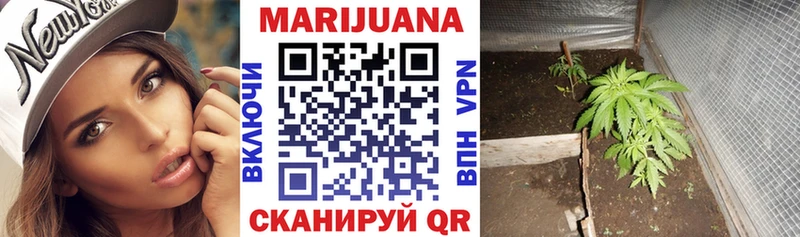 Конопля Bruce Banner  Купить где  Дубна 